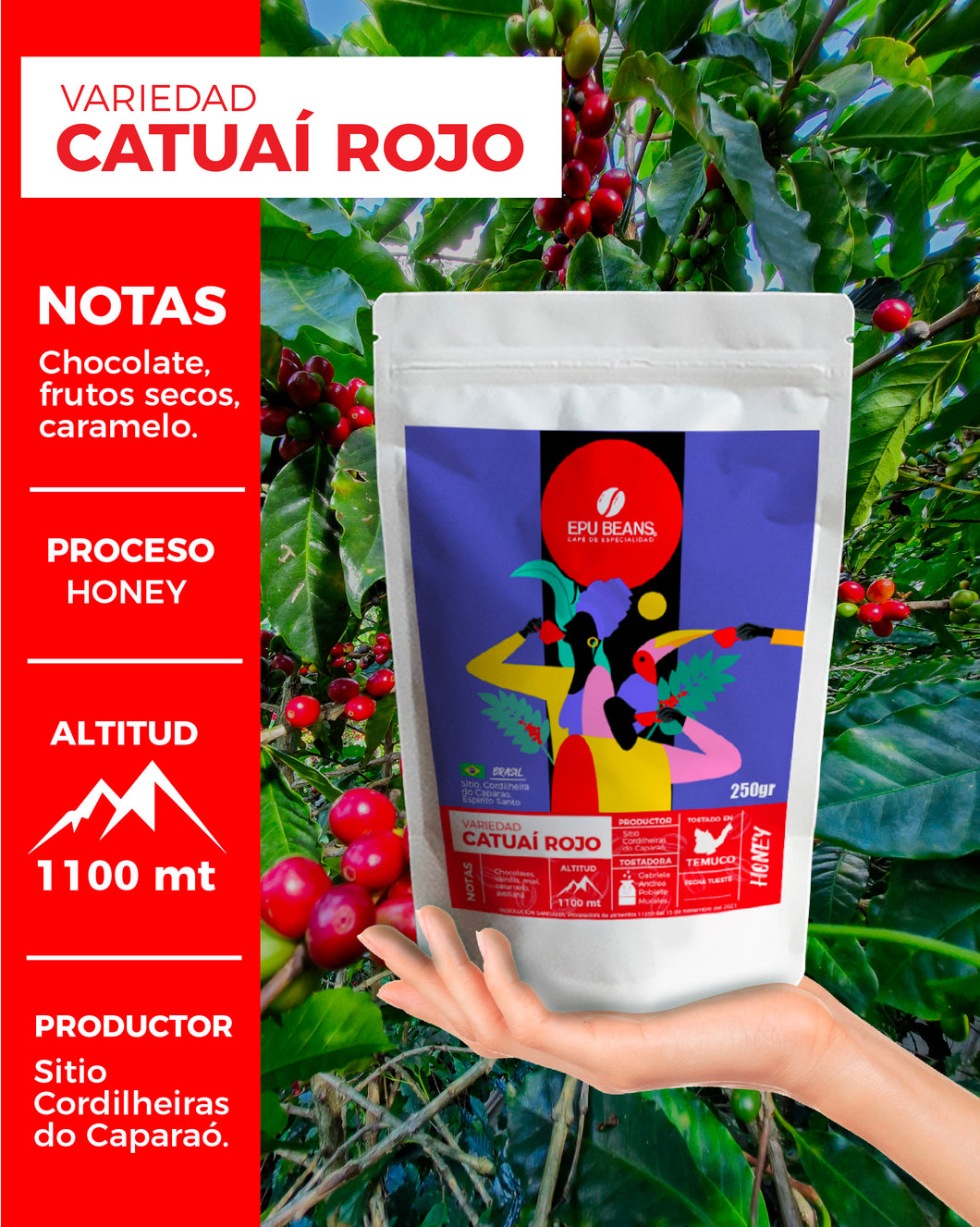 Catuaí Rojo Honey, 1 Kg, En Grano