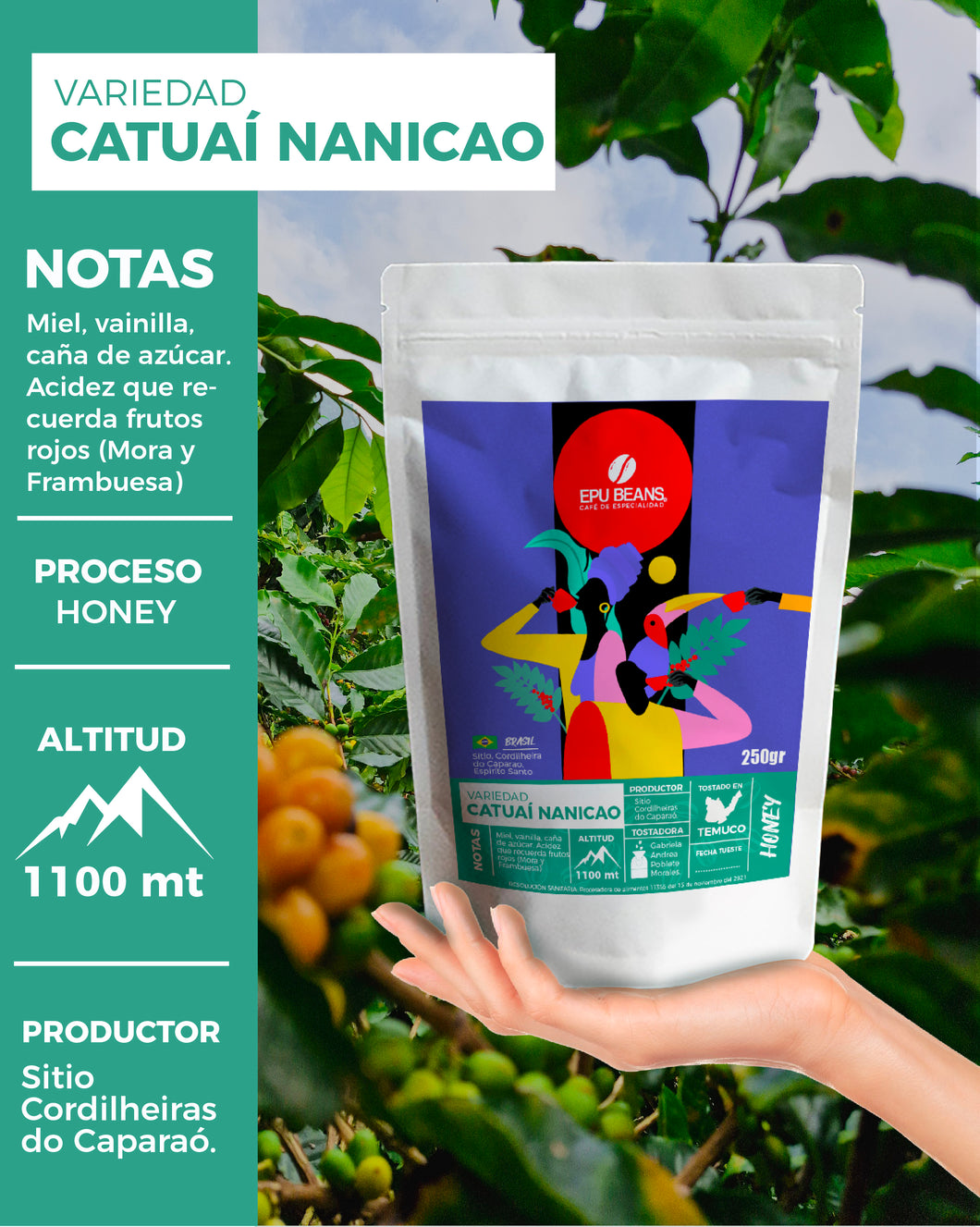 Catuaí Nanicao Honey, 500 g, Molido